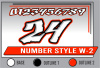 PRINTED NUMBER SET W-2